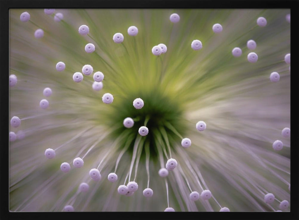 Groen en Wit II | Poster