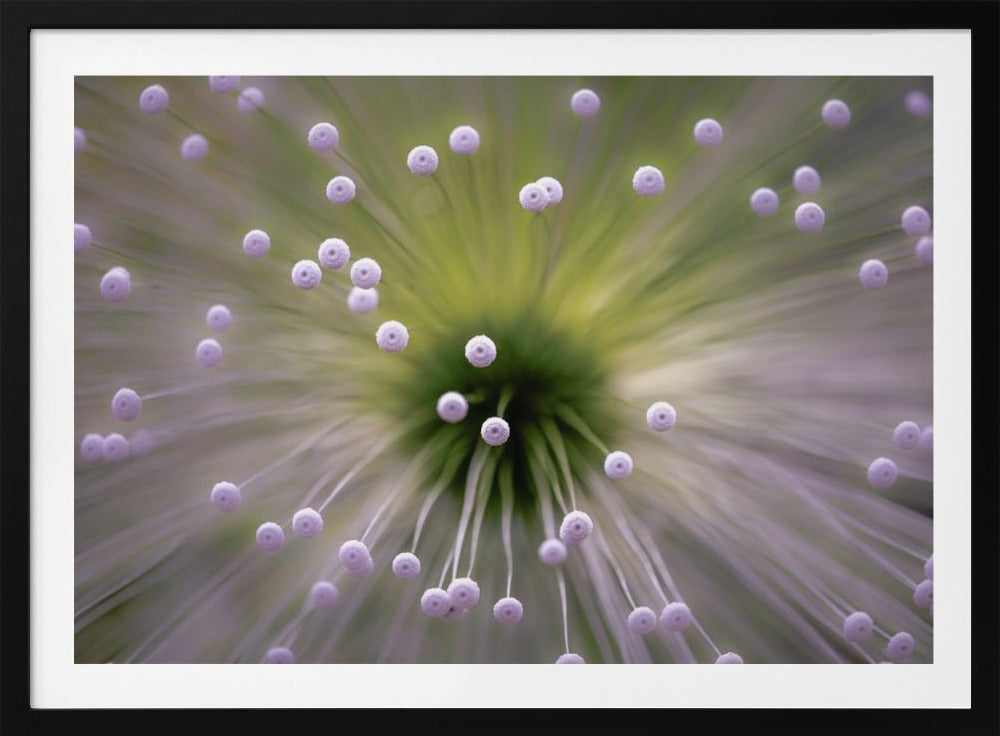 Groen en Wit II | Poster