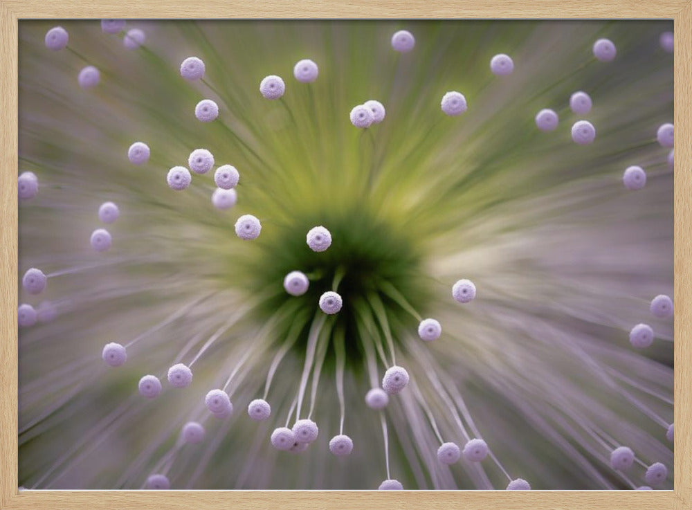 Groen en Wit II | Poster