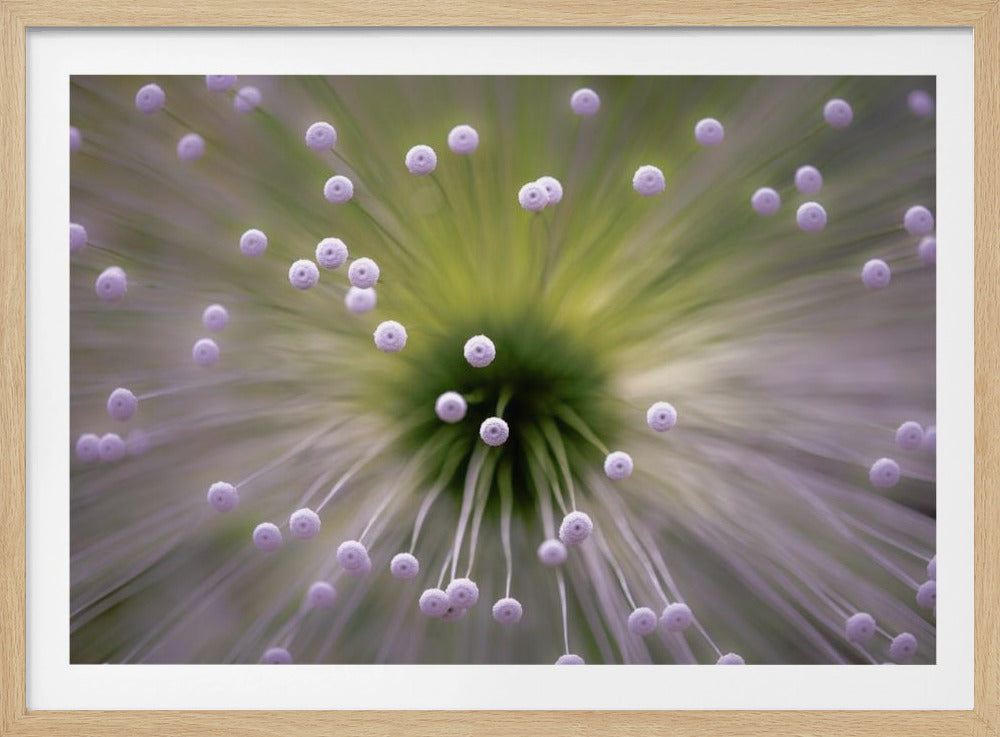 Groen en Wit II | Poster