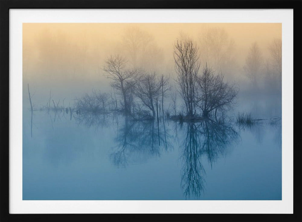 Ochtendreflectie | Poster