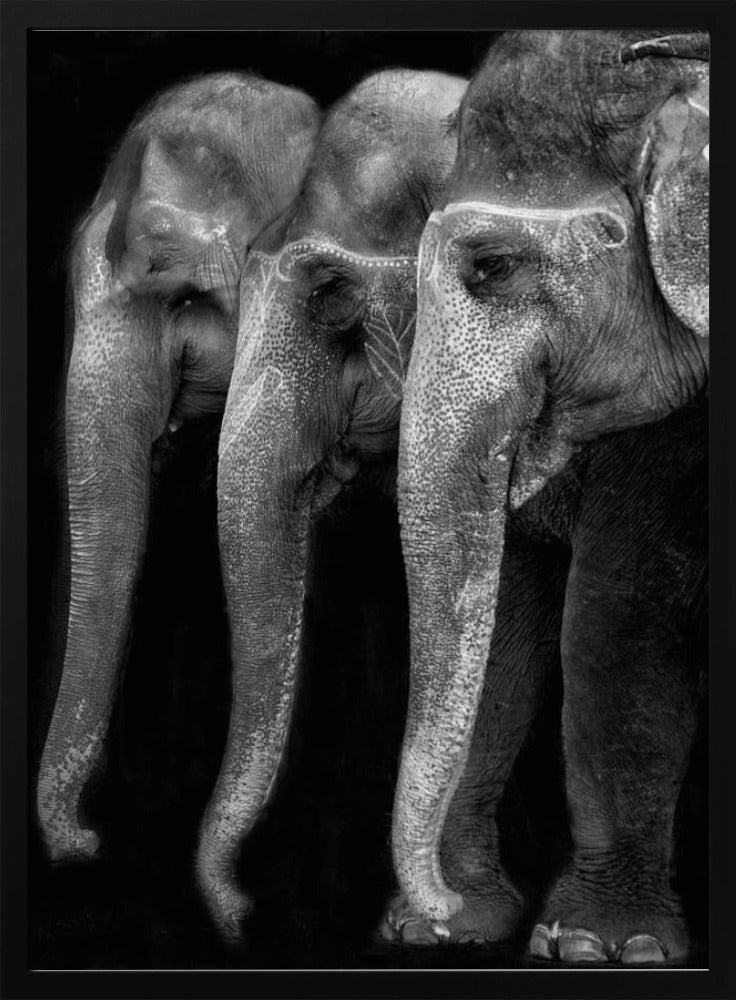 Nature\'s great masterpiece, an elephant; the only harmless great thing ... | Poster