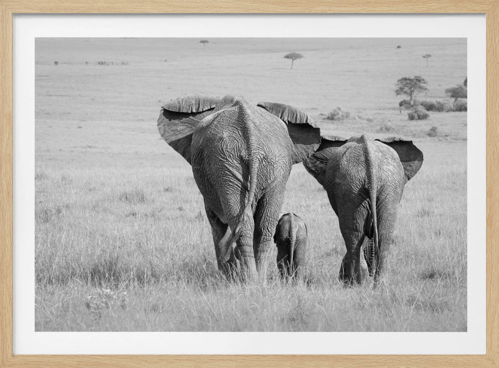 Drie billen! | Poster