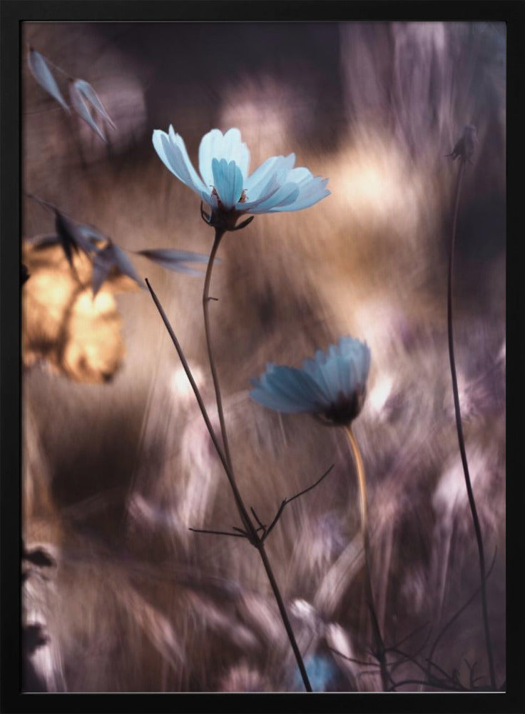 Herfst | Poster