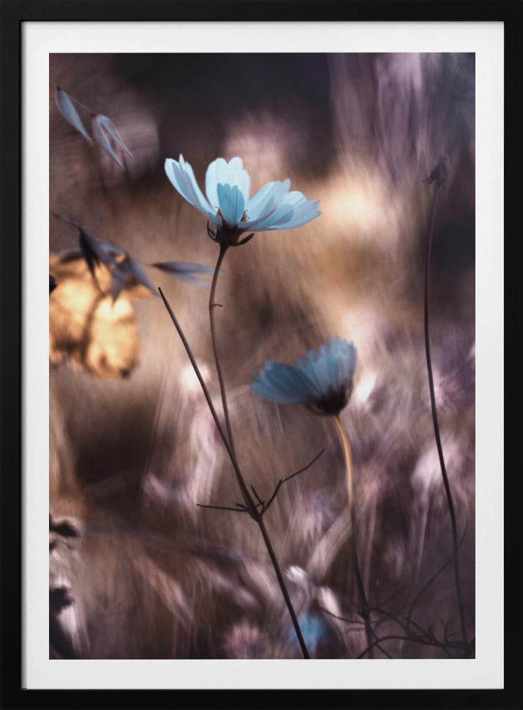 Herfst | Poster