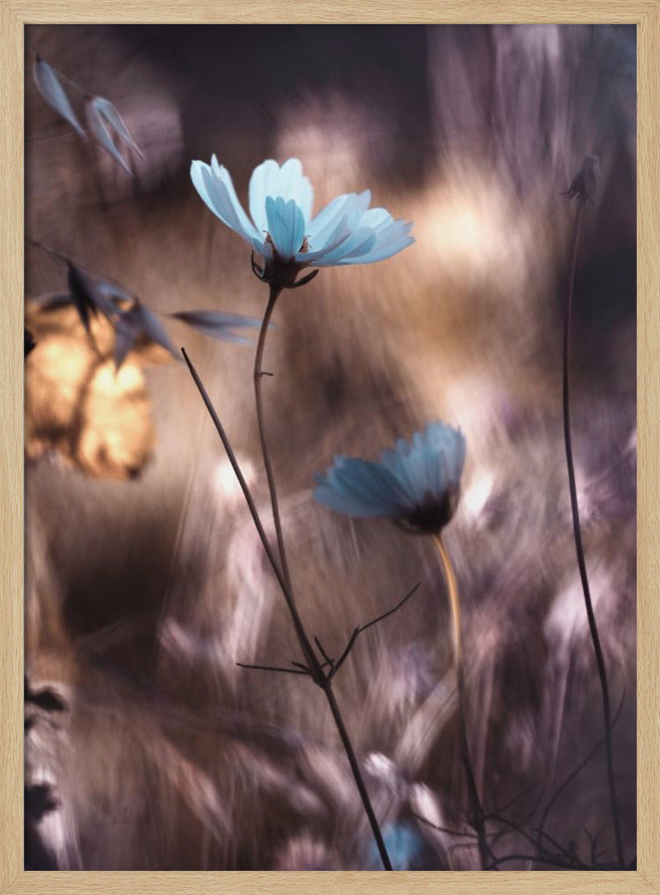 Herfst | Poster