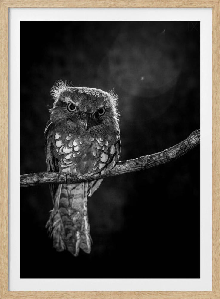Alleen in de nacht | Poster