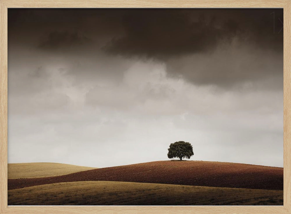 Tuve Que Pararme al Verla | Poster
