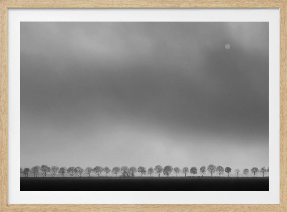 Polderlandschap | Poster