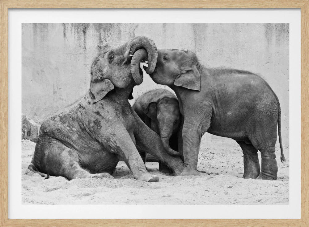 MÉNAGE À TROIS | Poster