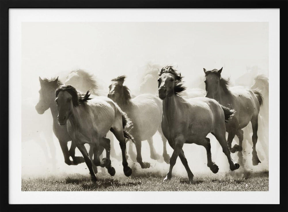 Paard | Poster