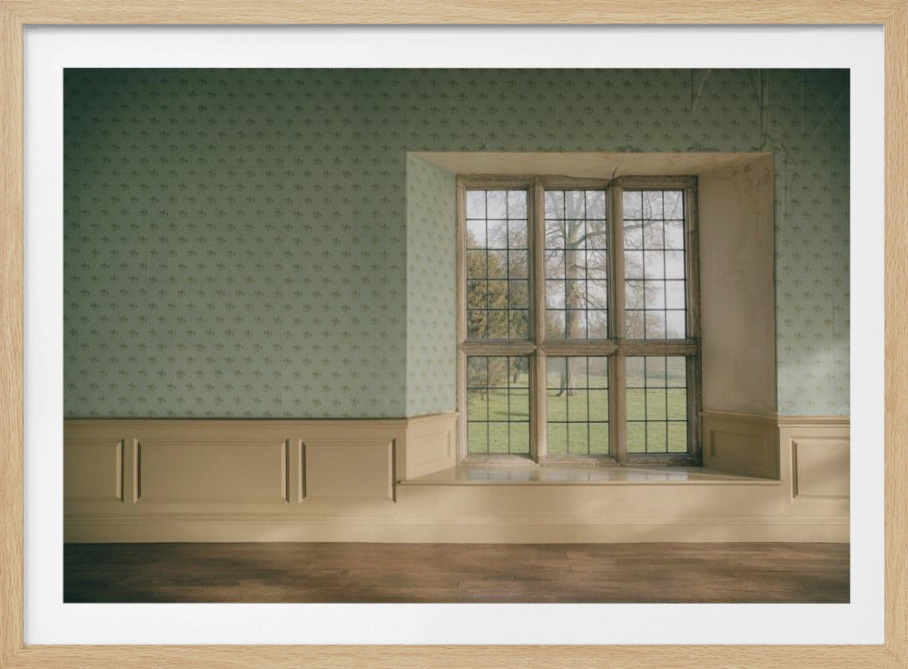 Lege kamers | Poster