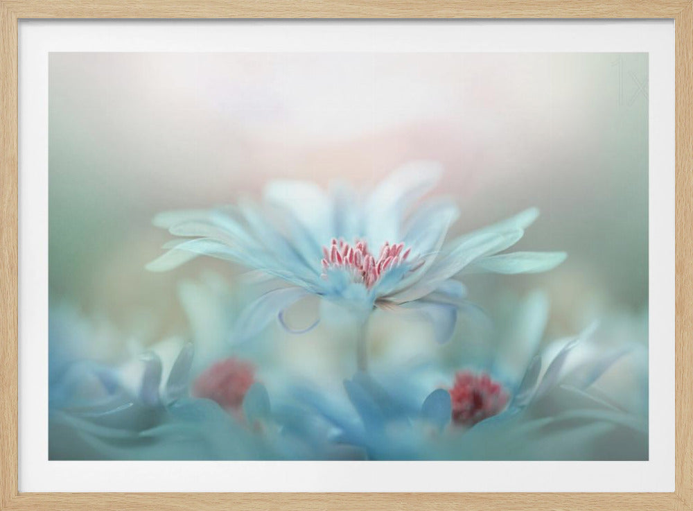 Fantasie | Poster