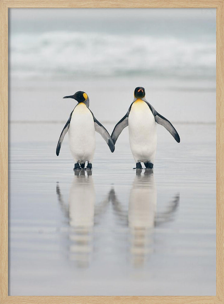 Vrienden | Poster