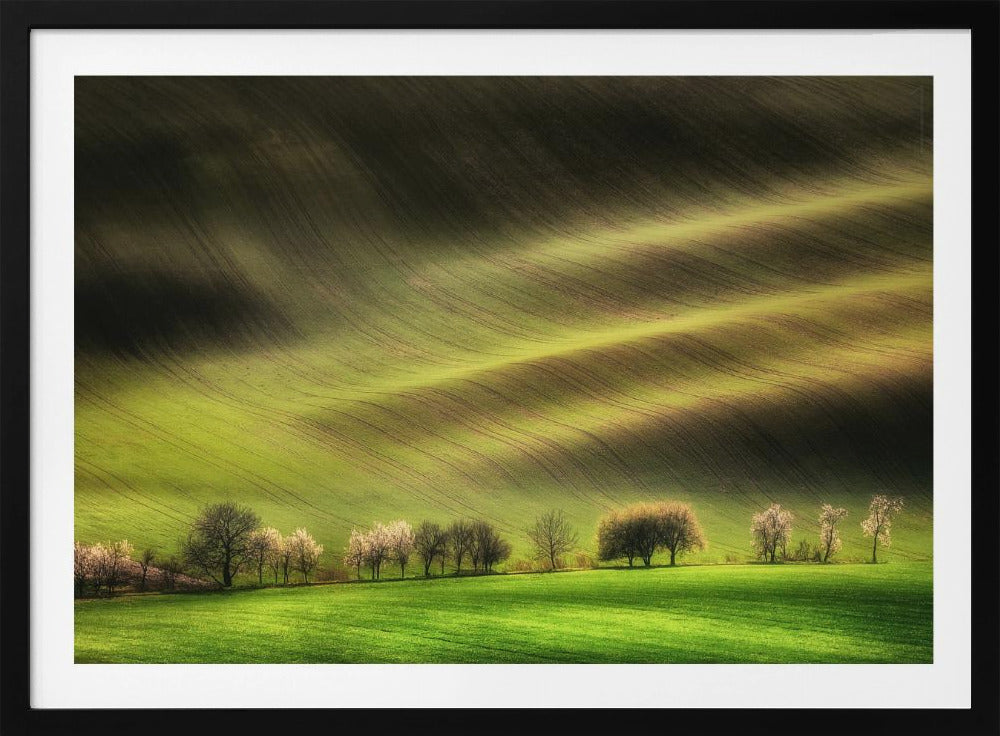 Moravische Velden | Poster