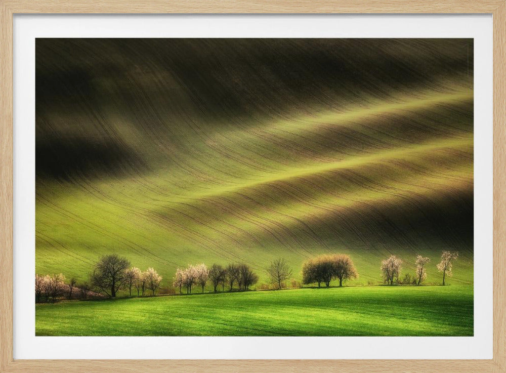 Moravische Velden | Poster