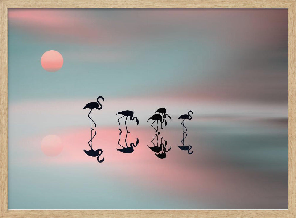 Familie flamingo's. | Poster