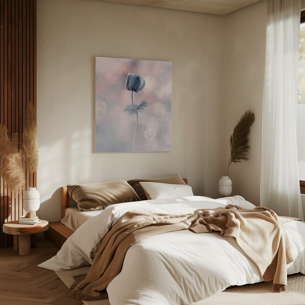 Soliste | Canvas