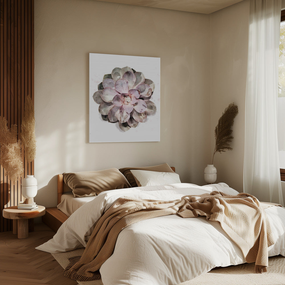 Succulent 01 | Canvas