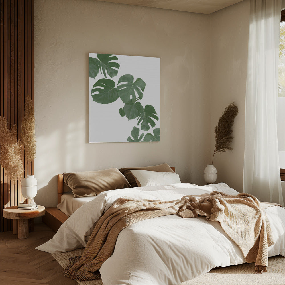 Monstera Aqua 02 | Canvas