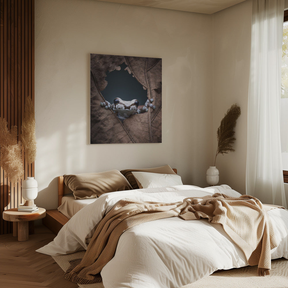 hello... | Canvas