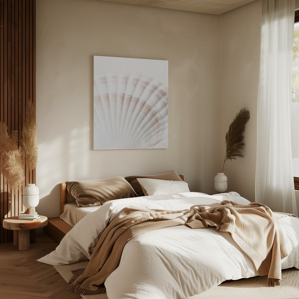 Schelp | Canvas