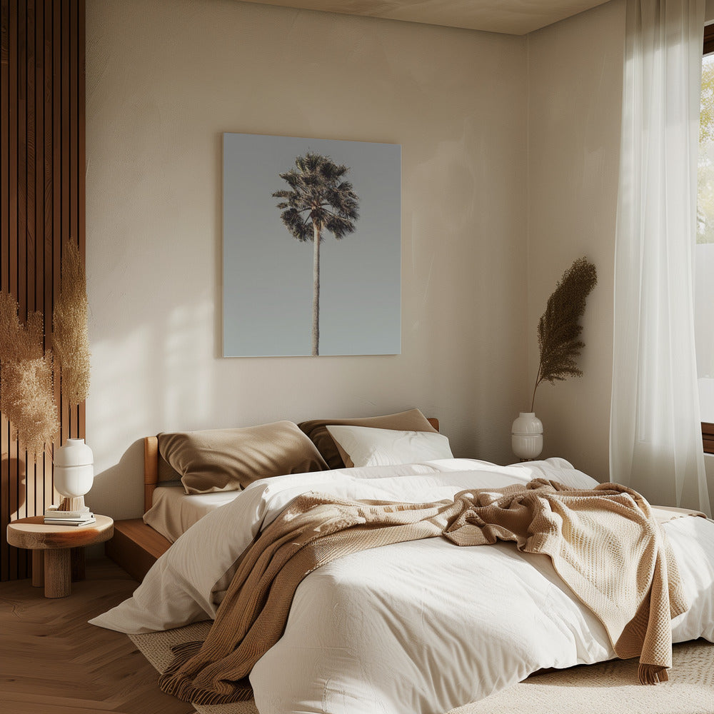 Palm_001 | Canvas