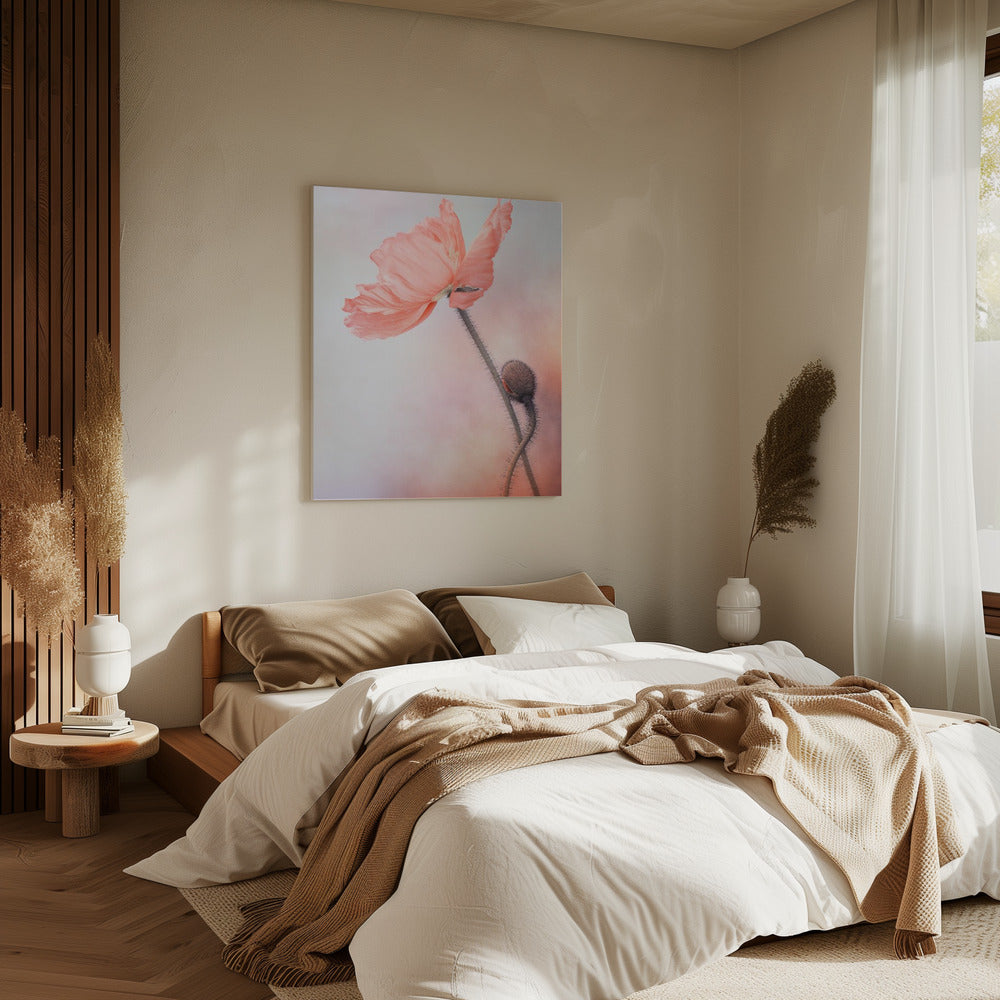 Tenderness | Canvas