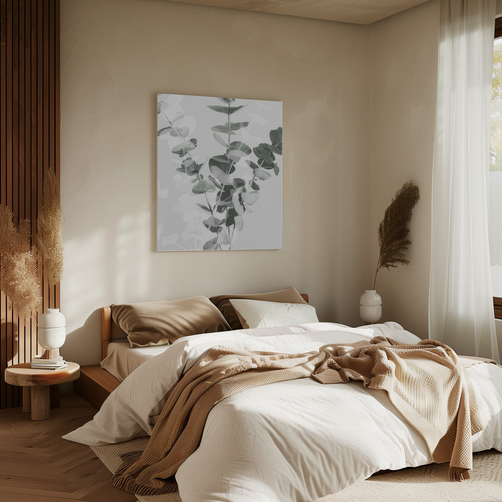 Eucalyptus_002 | Canvas