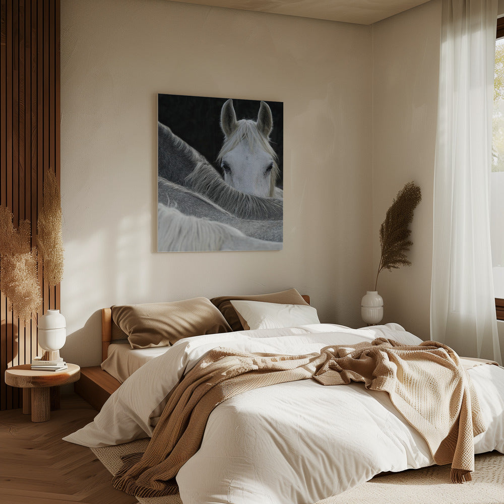 Kijk | Canvas