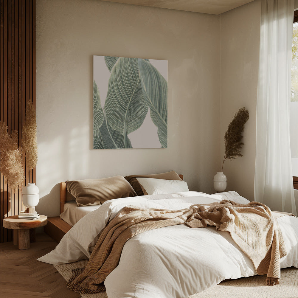 Calla blad | Canvas