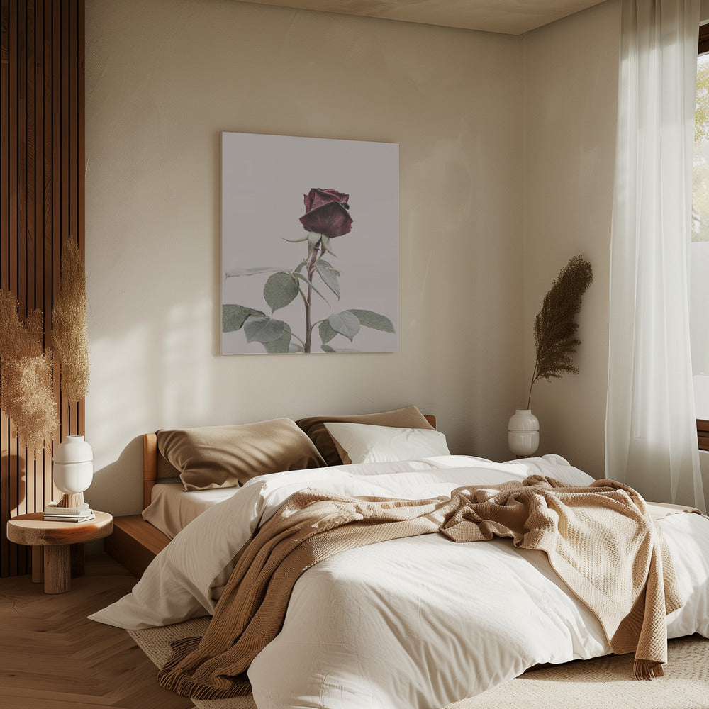 Roos | Canvas
