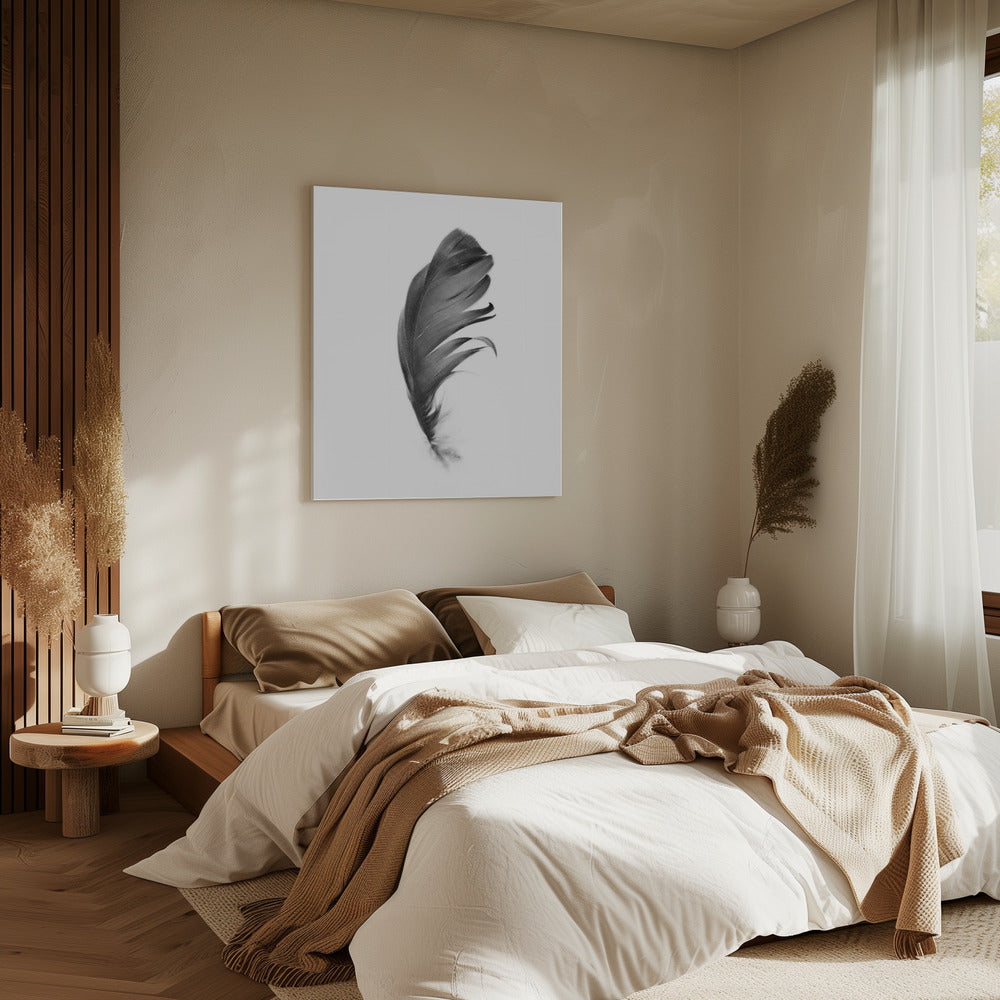 Veer | Canvas