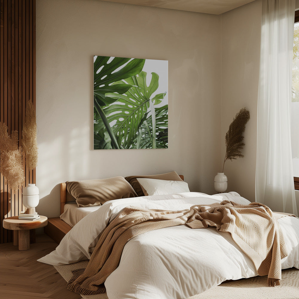 Jungle | Canvas