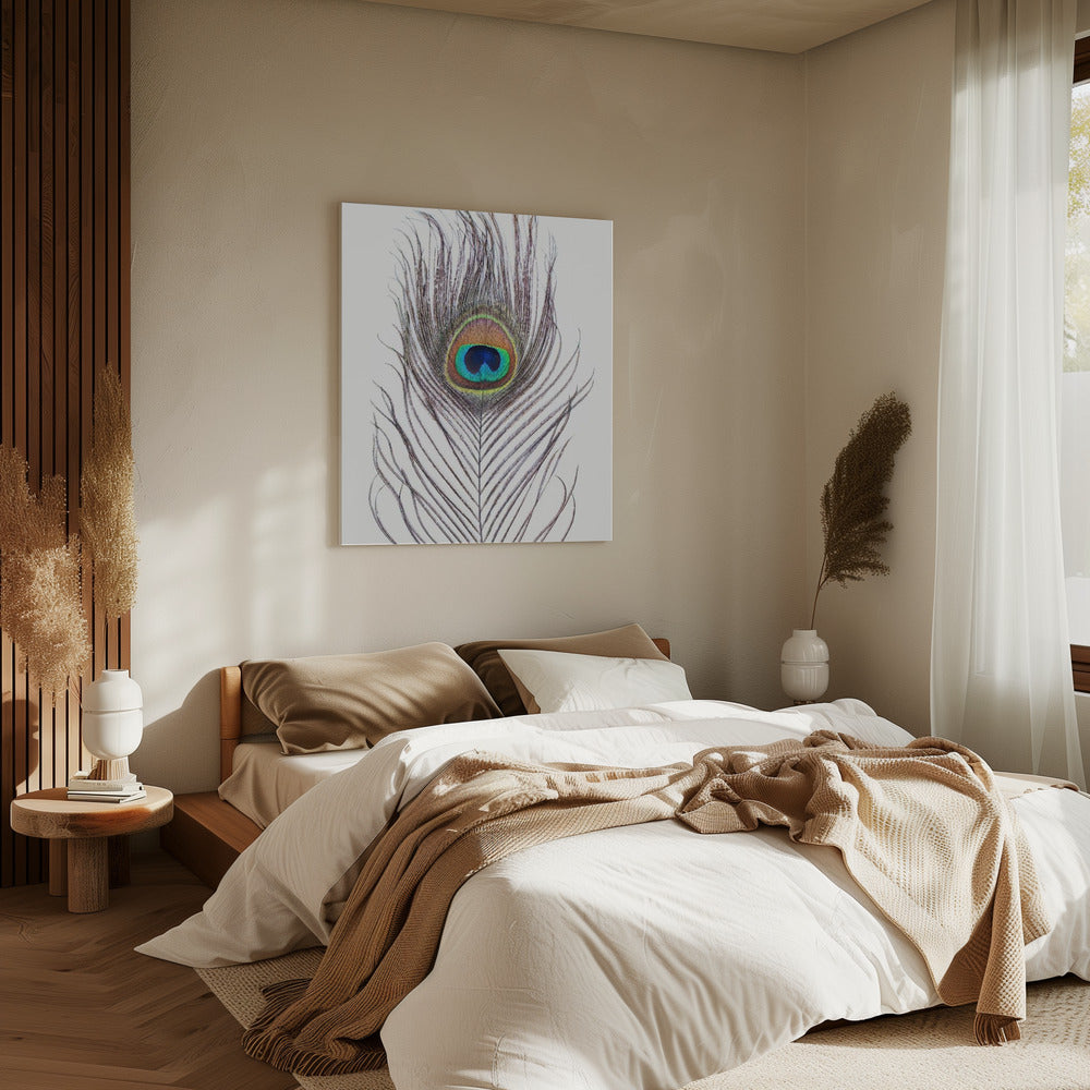 Pauwenveer | Canvas