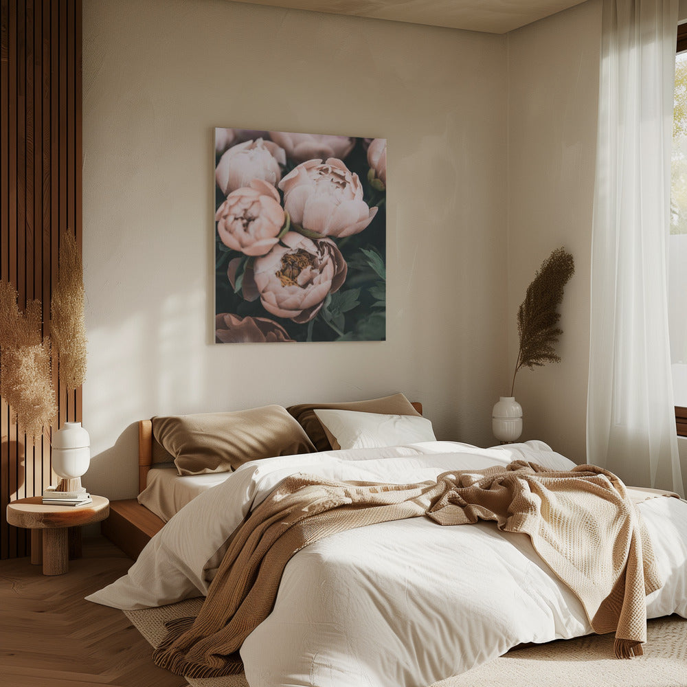 Koraalpioenen | Canvas