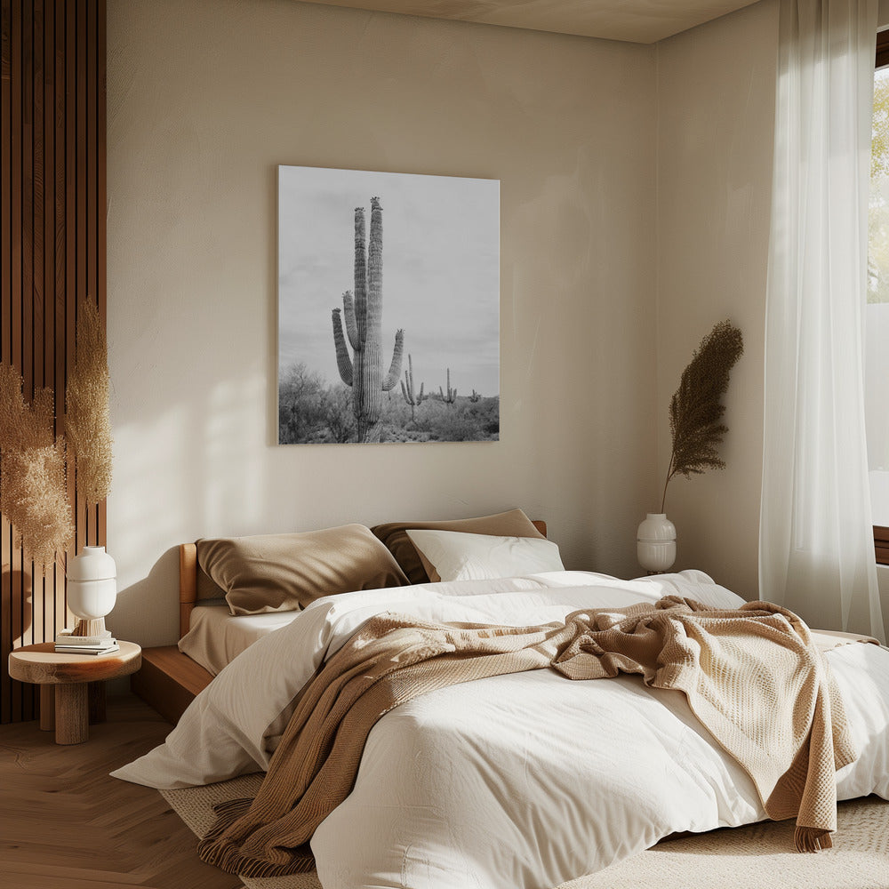 Saguaro Zwart-wit | Canvas