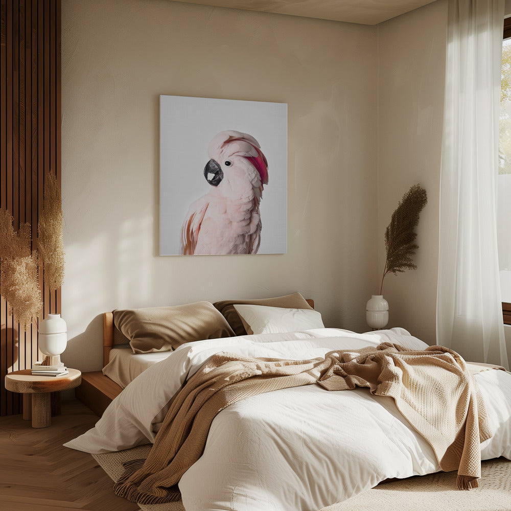 Roze Kaketoe | Canvas