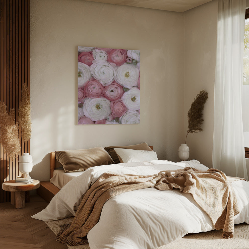 Verspreide ranonkel in gedempt roze II | Canvas