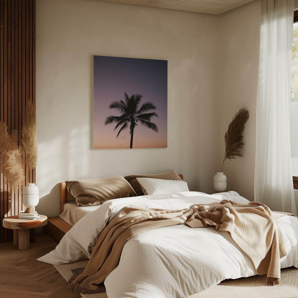 Costa Ricaanse palmboom | Canvas