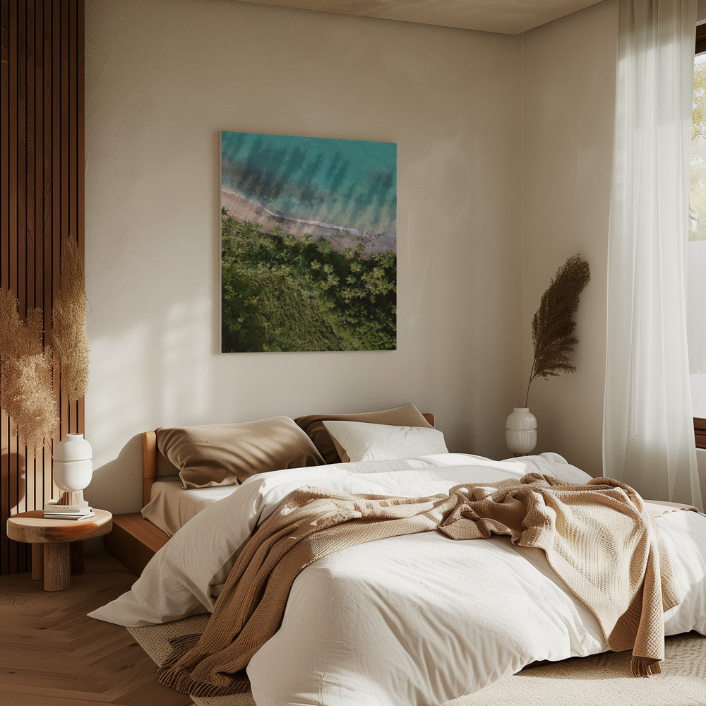 Palm Beach van bovenaf | Canvas
