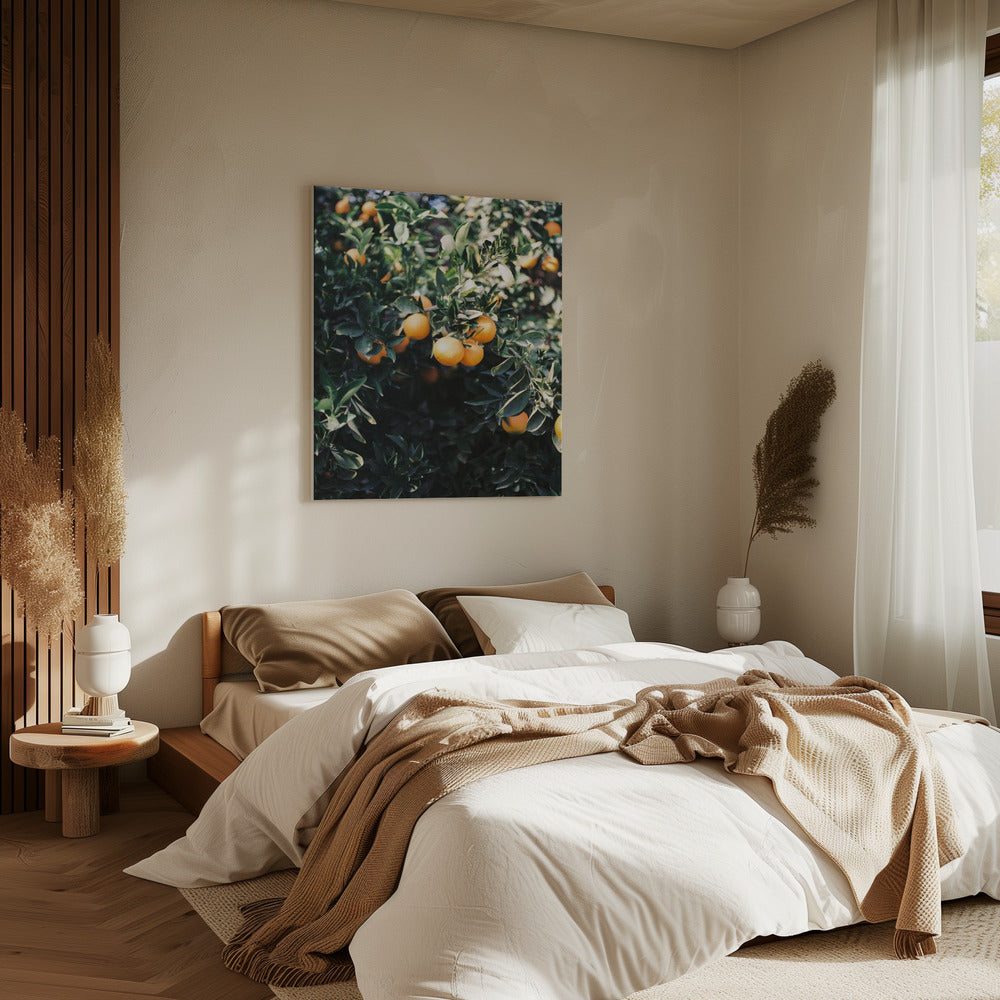 Marrakesh Oranges | Canvas