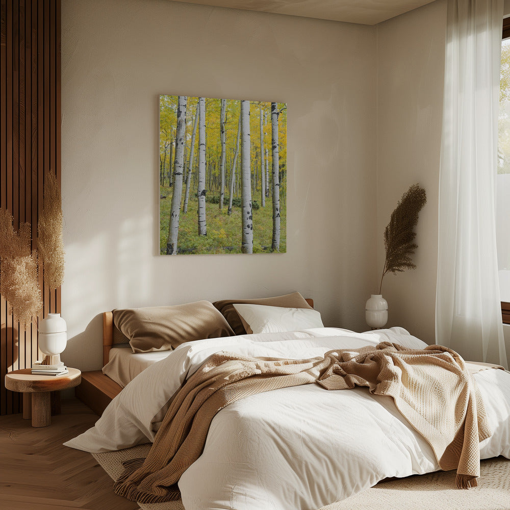 Yellow Birchs vertical | Canvas