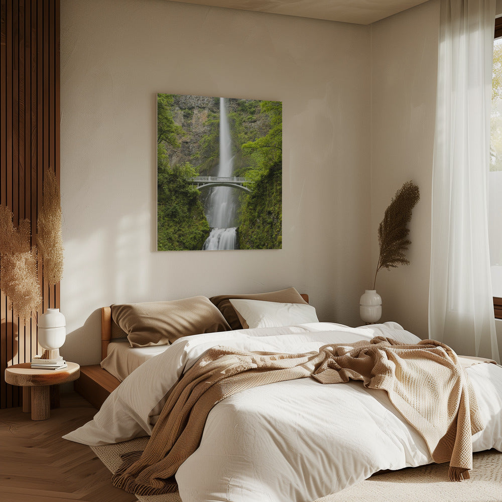 Zachte staart | Canvas