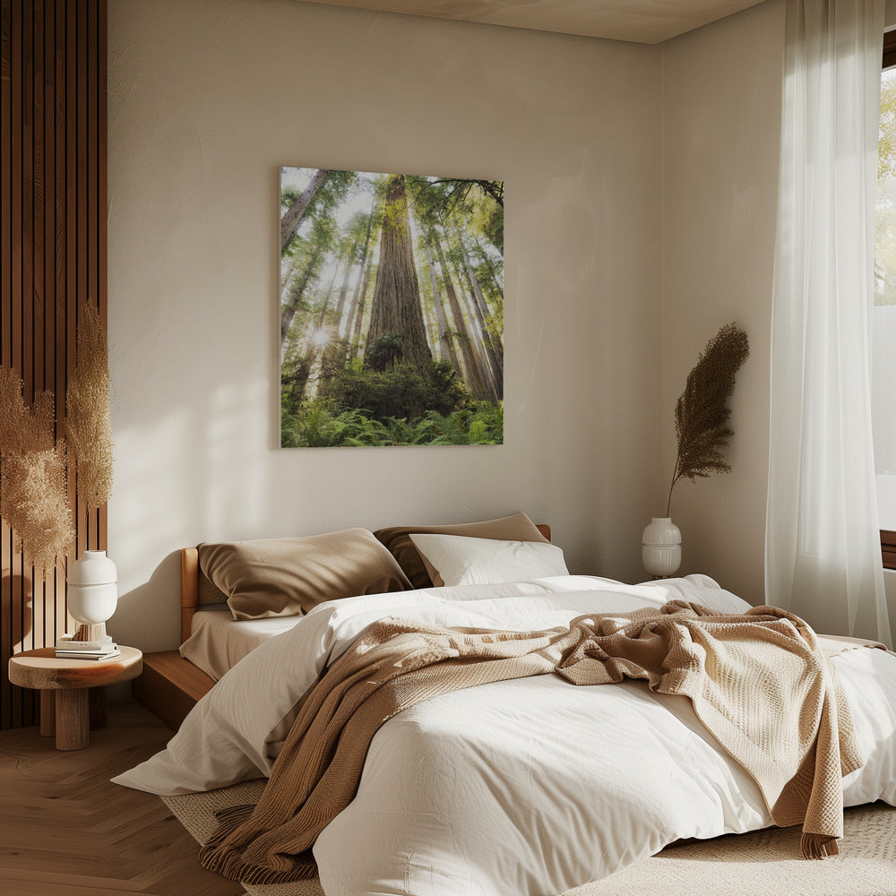 Prachtig bos | Canvas