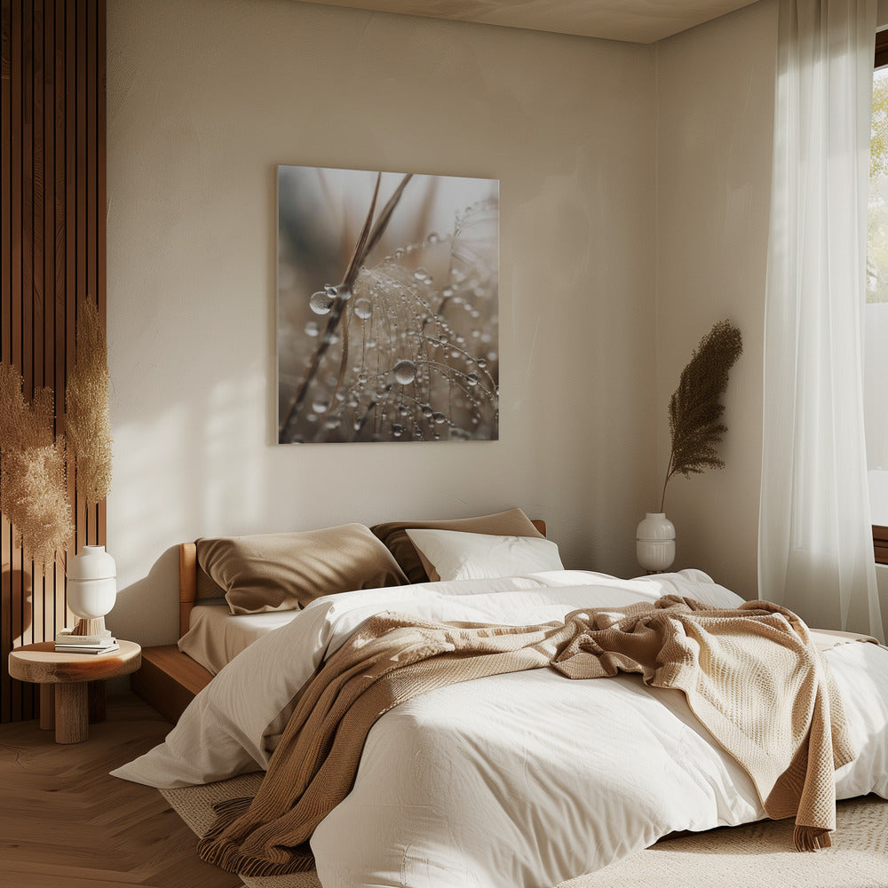 Dauwachtig filigraan | Canvas