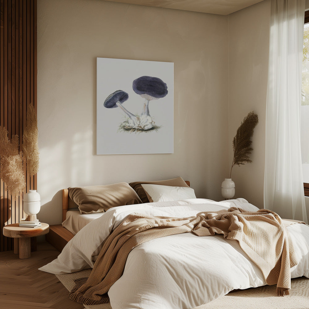 Vintage Violet Webcap Paddenstoel | Canvas