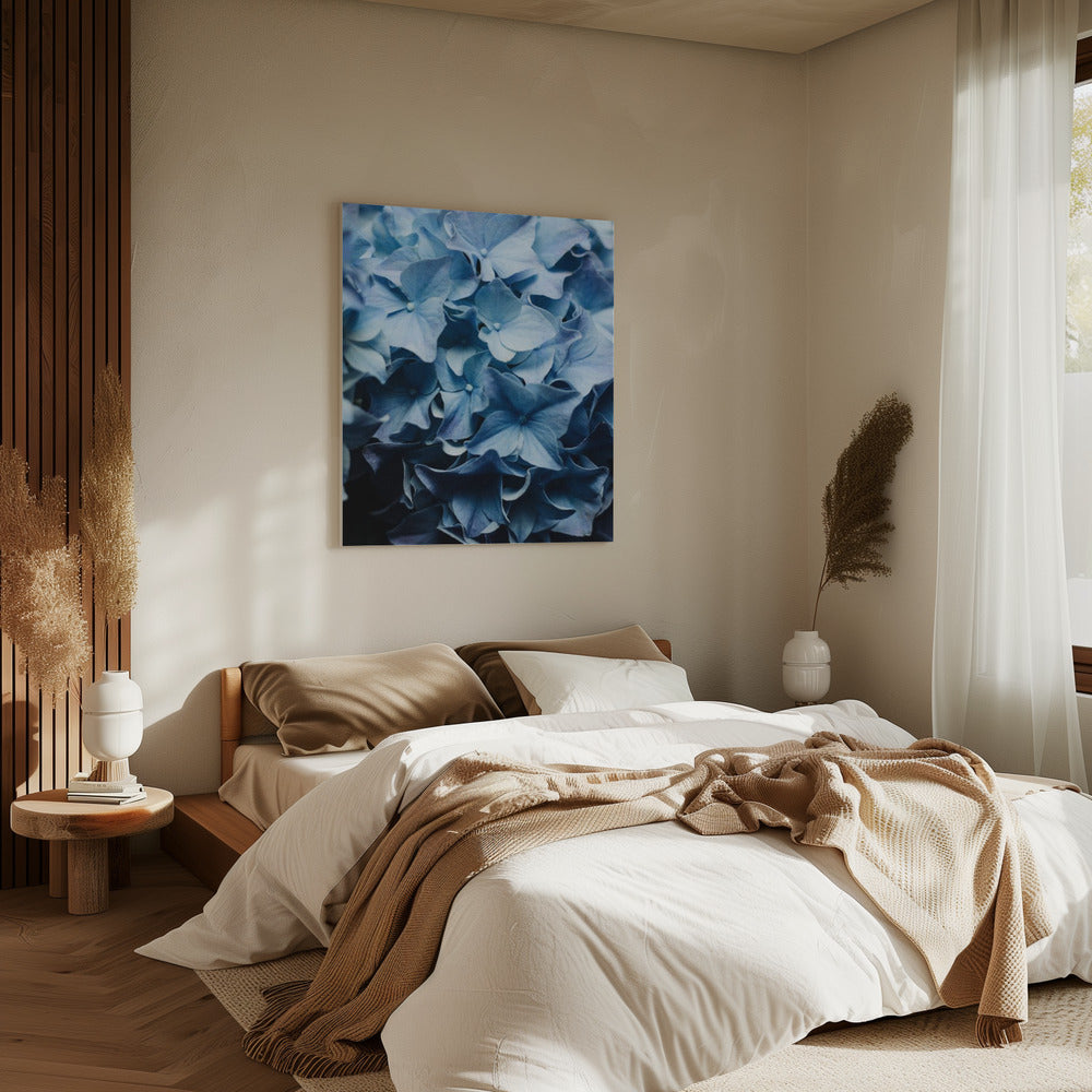 Levendige blauwe hortensia's | Canvas