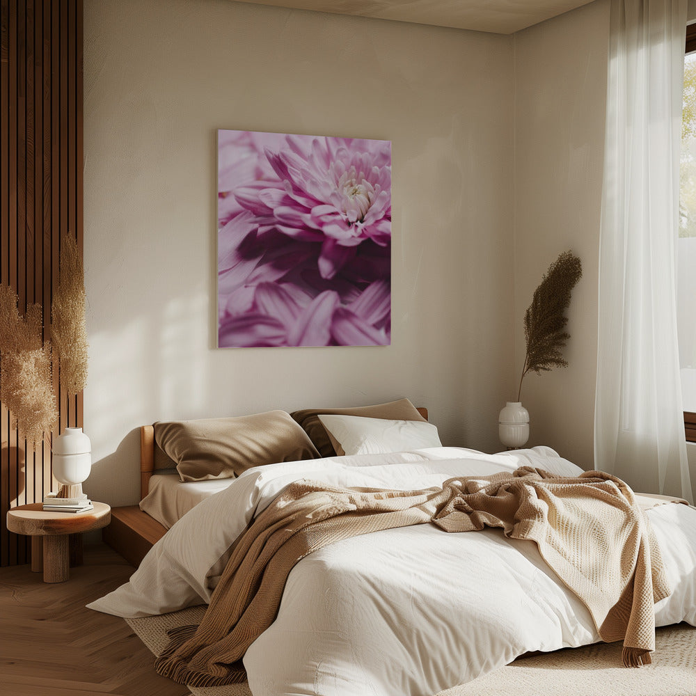 Roze Bloemblaadjes Symfonie | Canvas