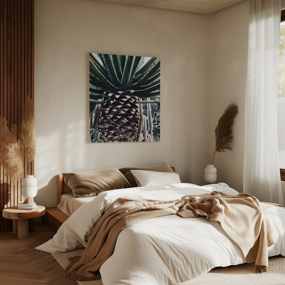 Cactus Plant | Canvas